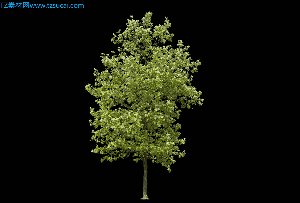 1598606740359010.gif 啊.gif