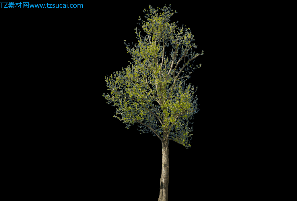 1598624045782206.gif 啊.gif