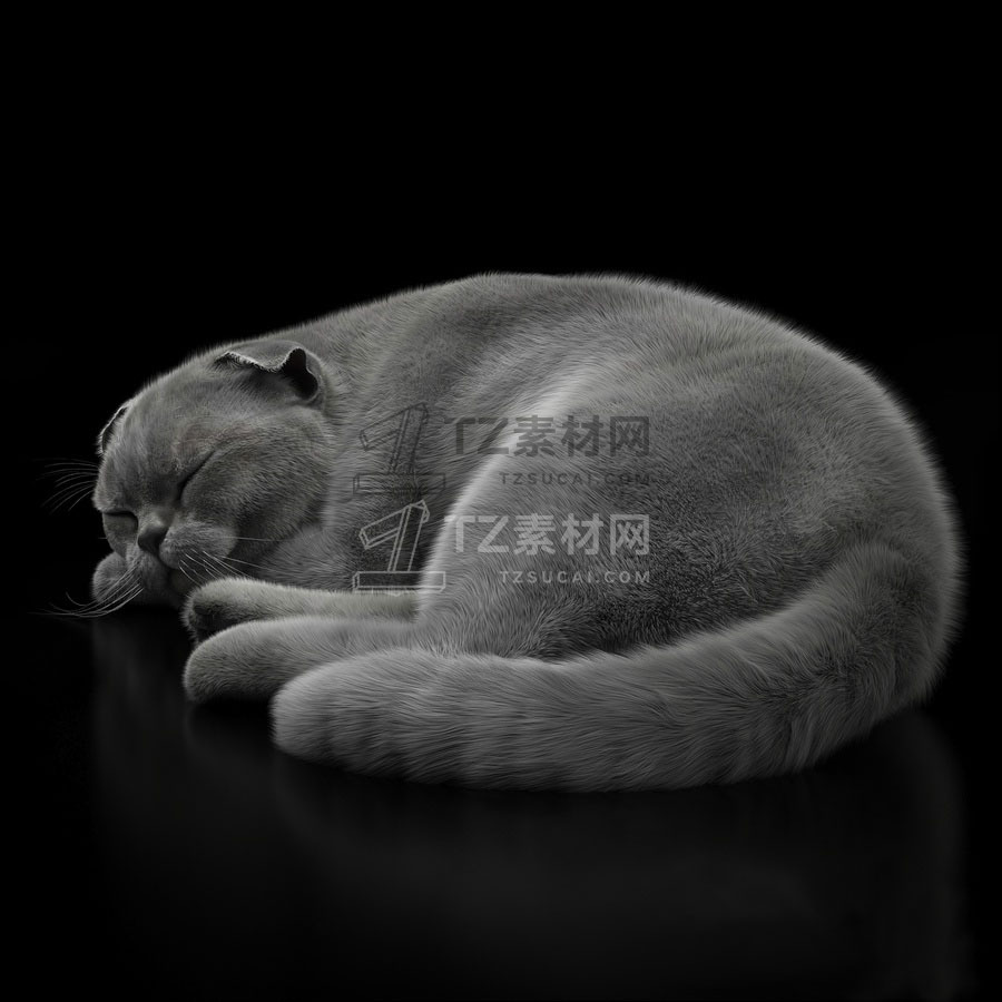002a6c57497b29e2136e98993919e4d9.jpeg