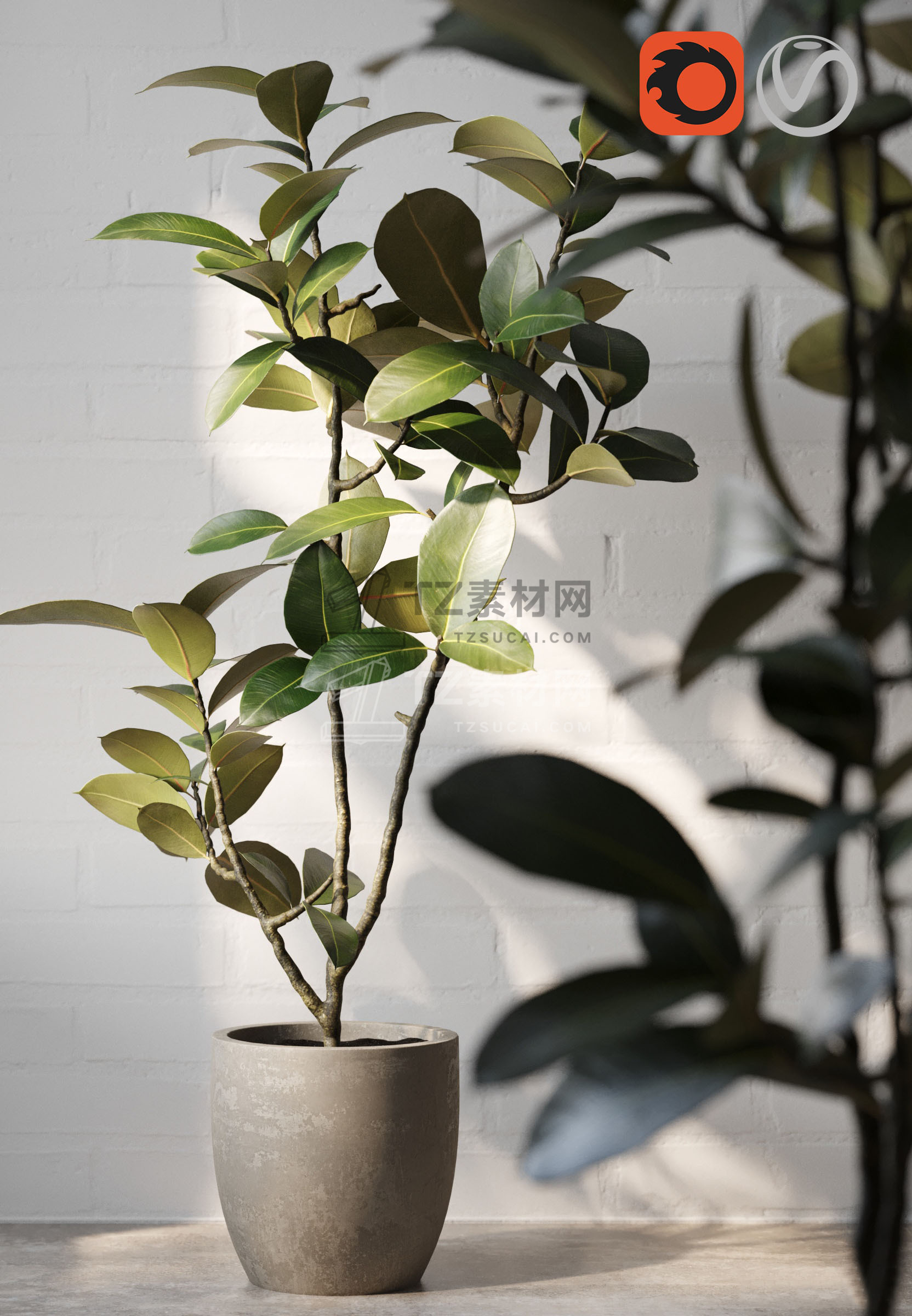 946cecba1a1cb6d8b744d684b0811d6a.jpg