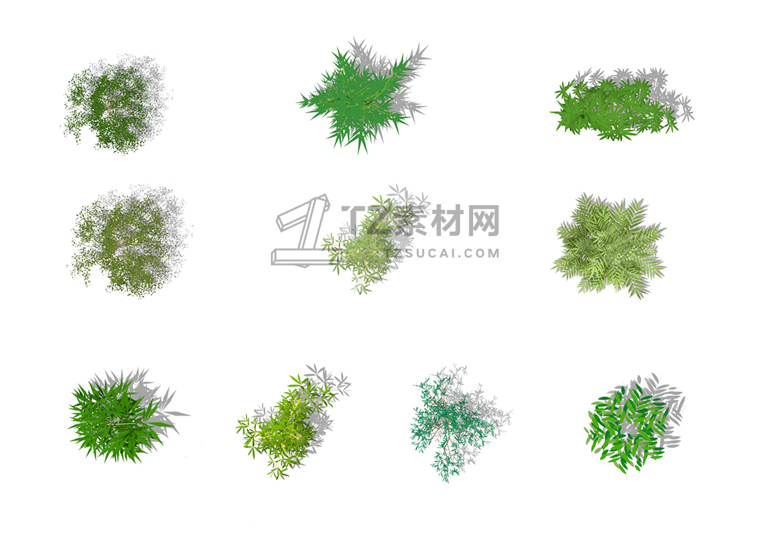 竹子平面素材-预览.jpg