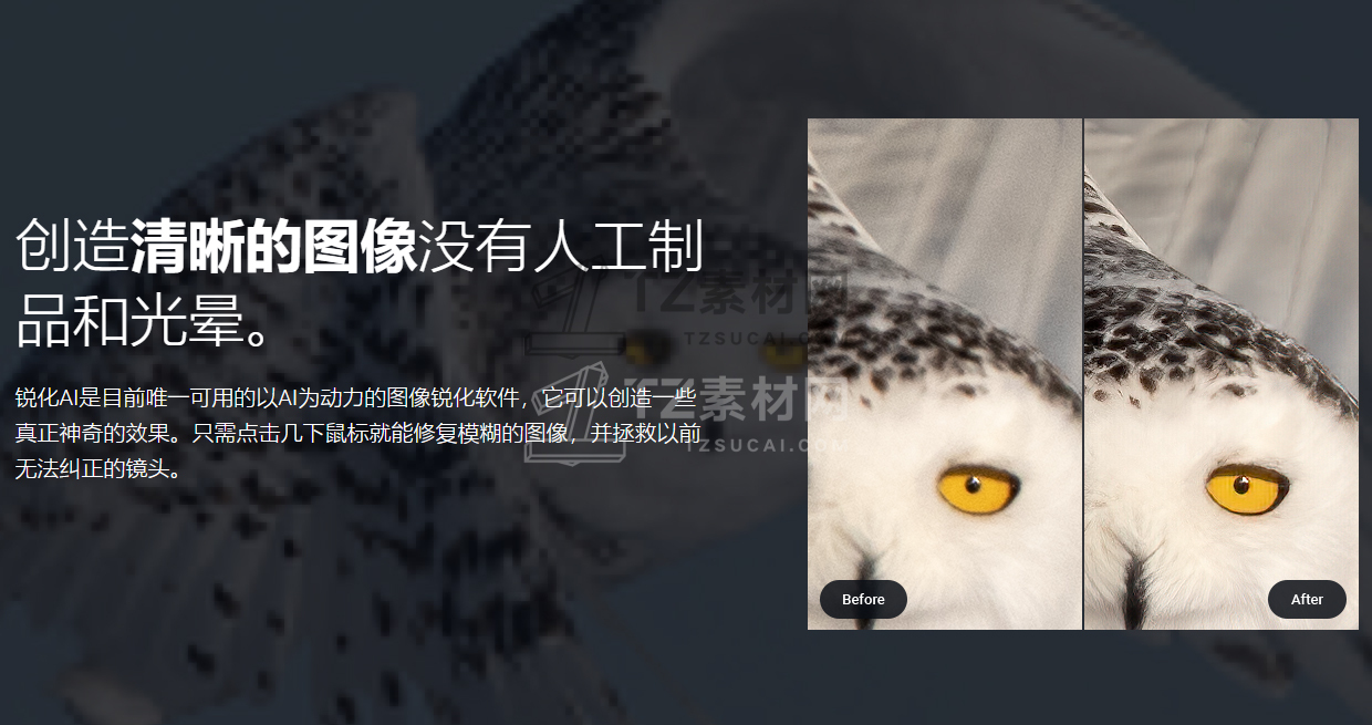 QQ截图20201202223819.jpg