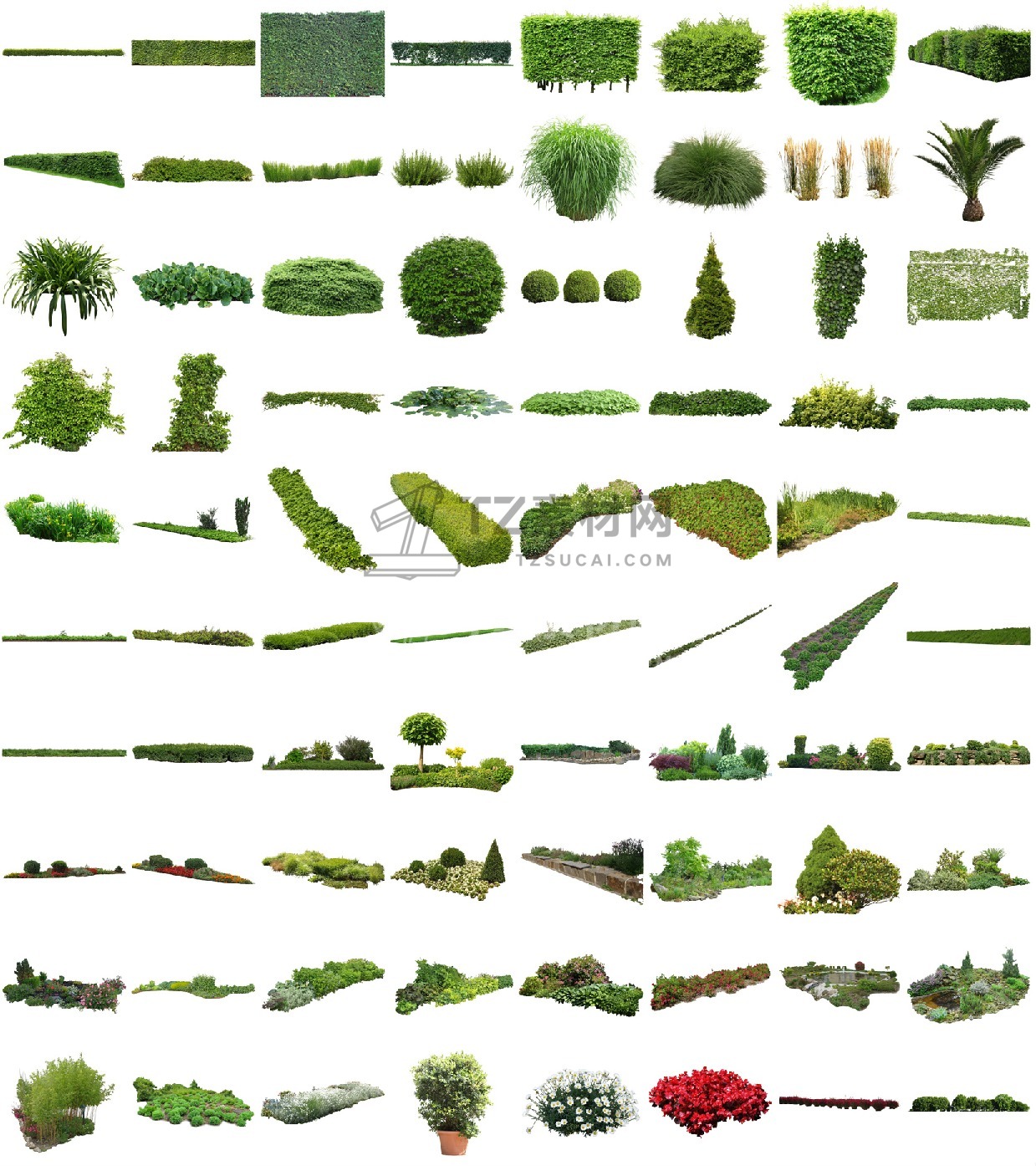 Cutout-Vegetation-V02_Overview.jpeg