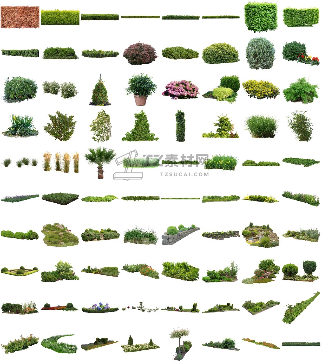Cutout-Vegetation-V03_Overview.jpeg