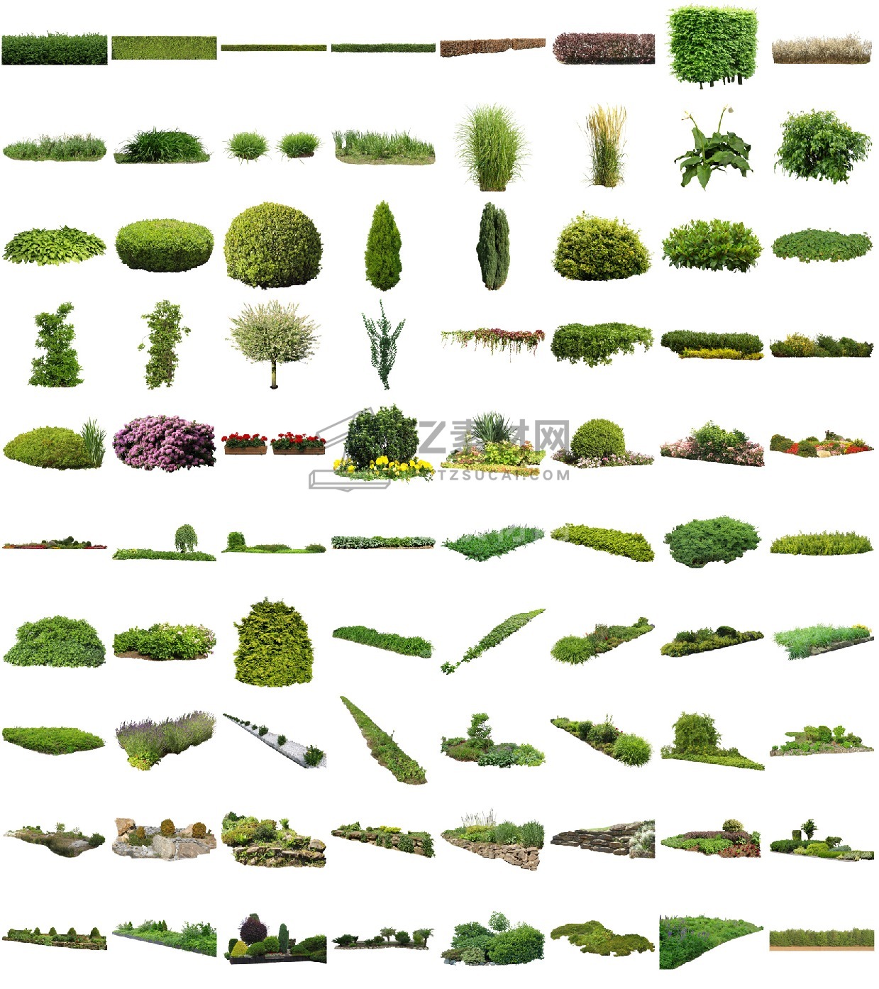 Cutout-Plants-V04_Overview.jpeg