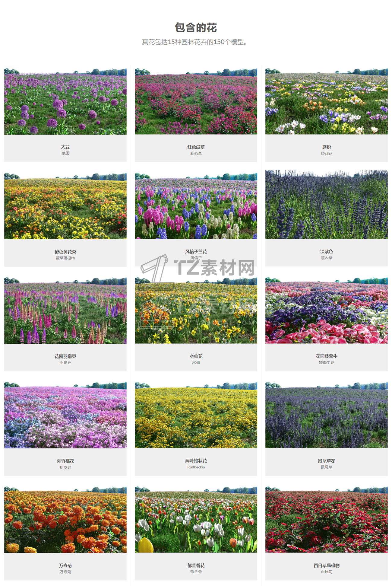 Real-Flowers---3D-flower-models-for-architectural-visualization.jpg