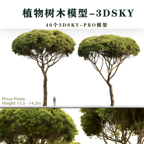 40個(gè)植物樹木3DSKY PRO模型3