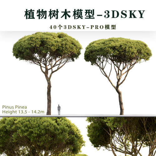 40个植物树木3DSKY PRO模型3