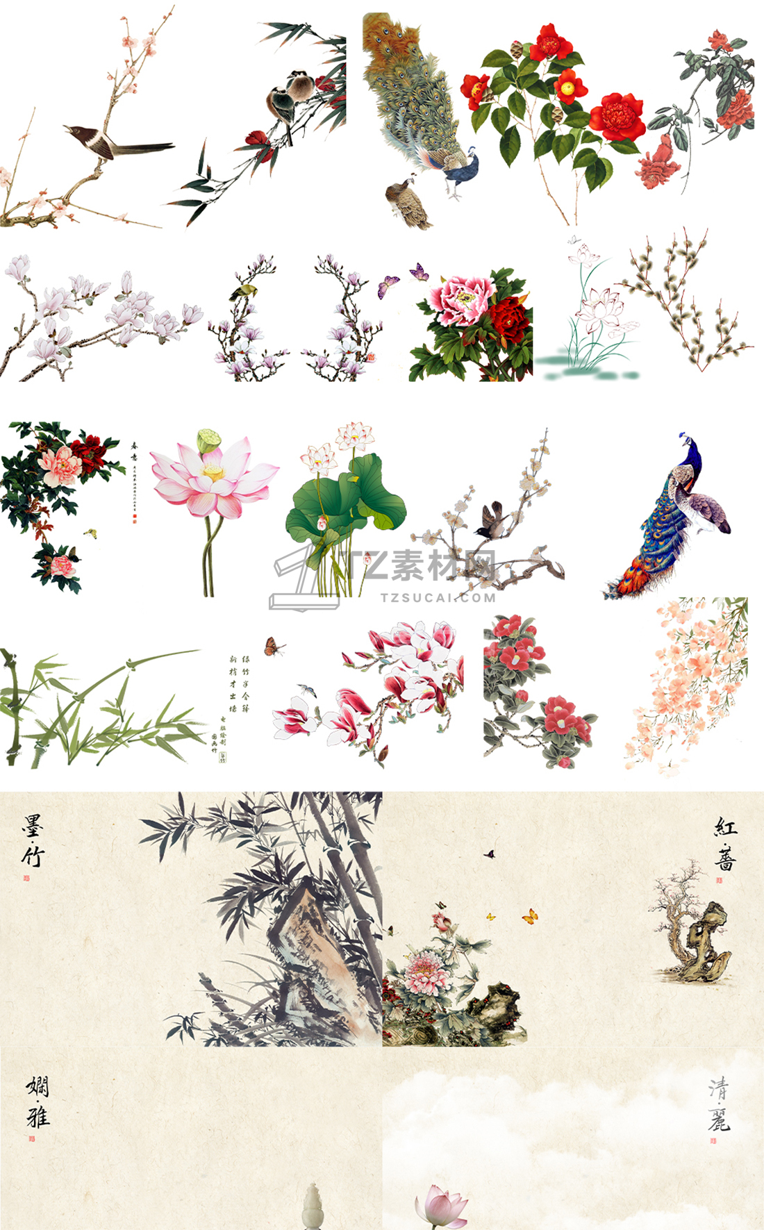 未标题-1_001.jpg