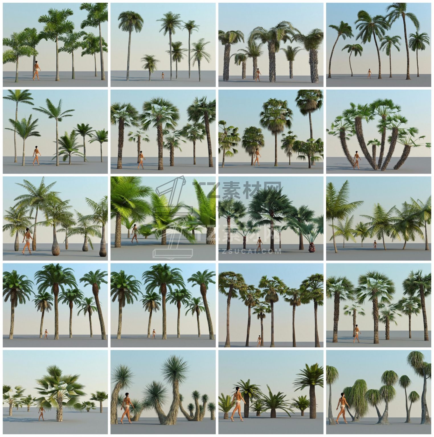 4187-Tree-Plant-Sketchup-Model-Free-Download-2-1524x1536.jpg