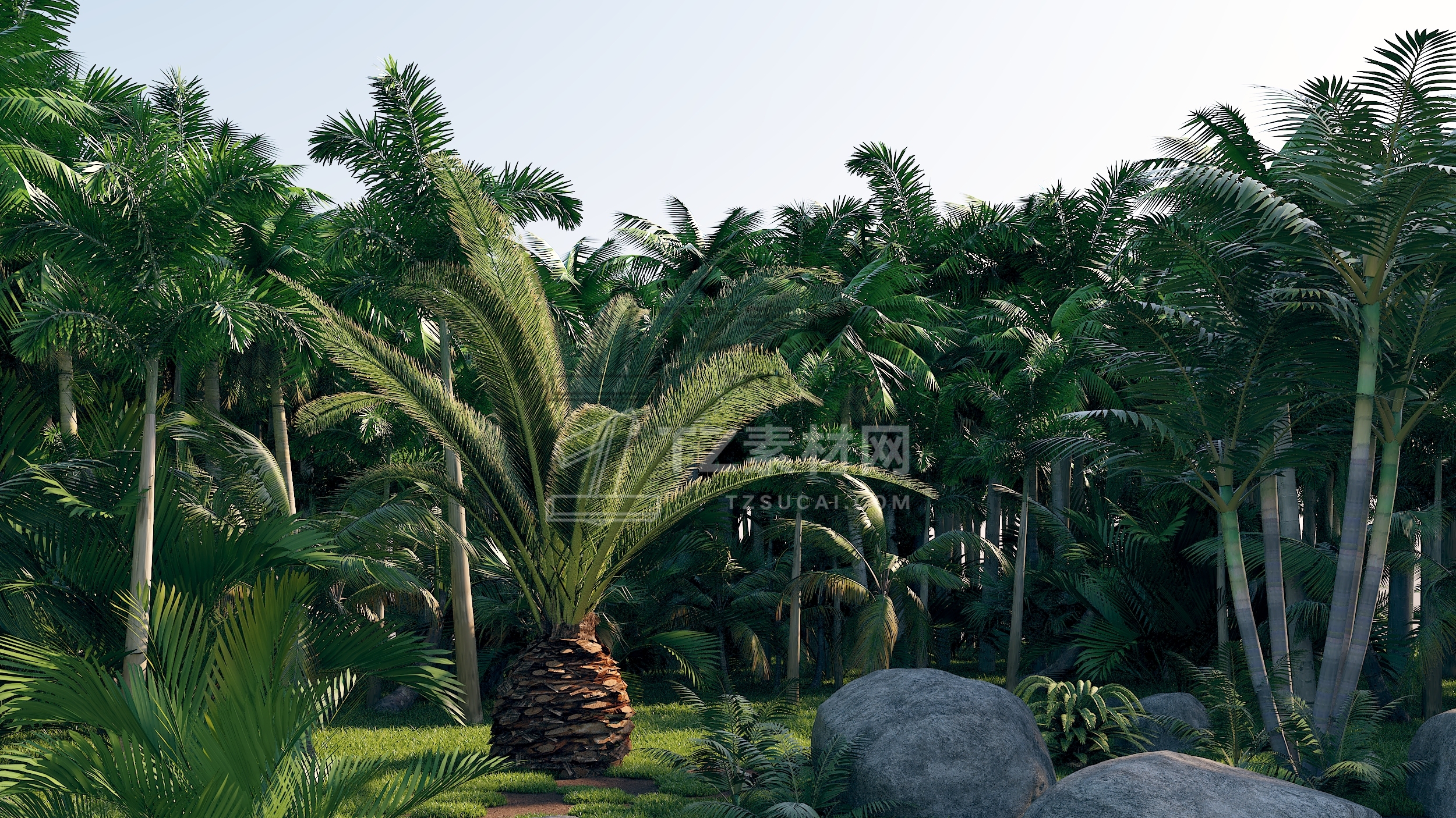 final_render.Denoiser.Denoiser.jpg