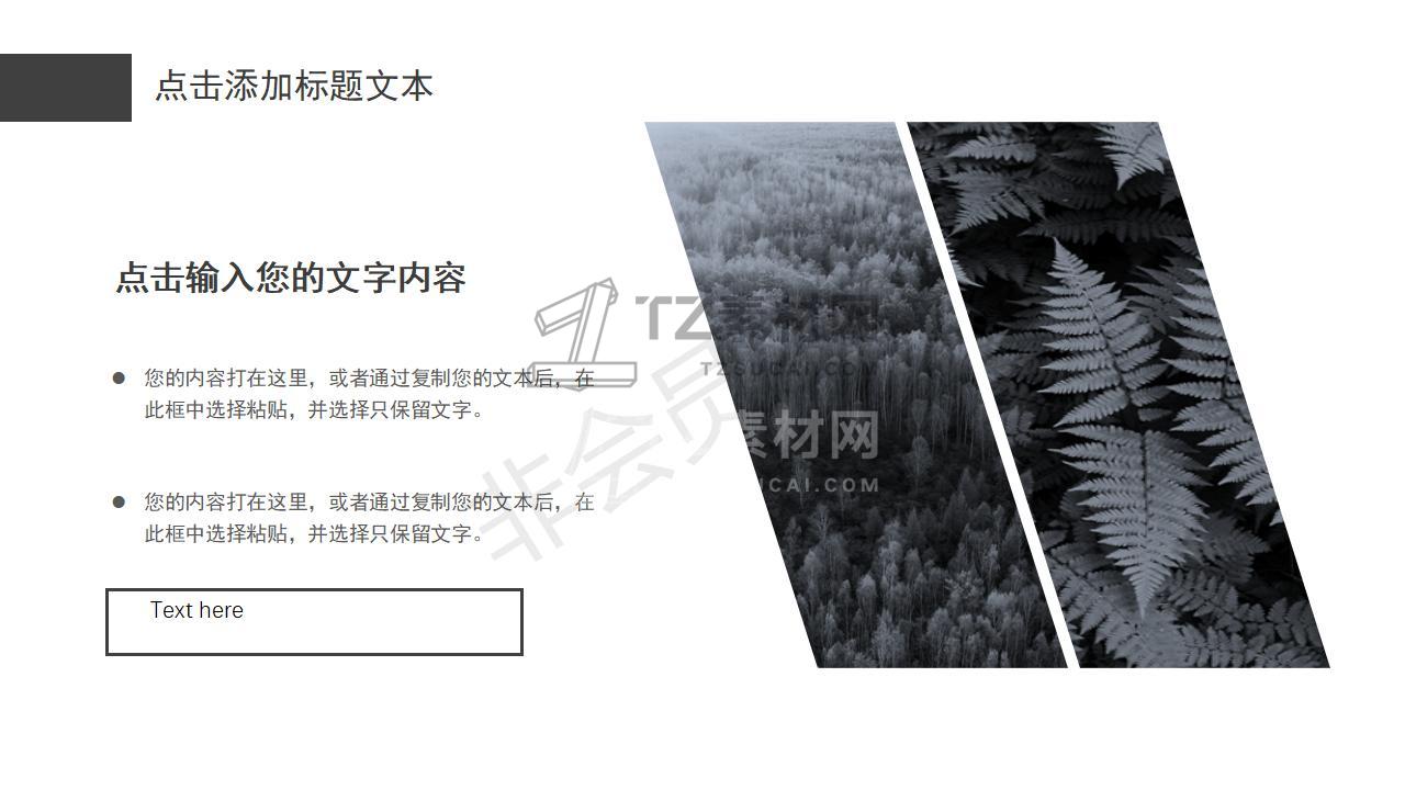 (2)_05.jpg