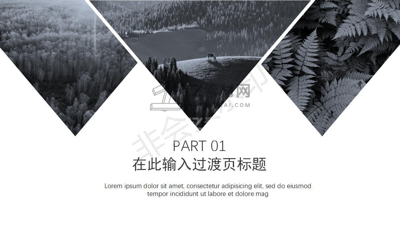 (2)_03.jpg
