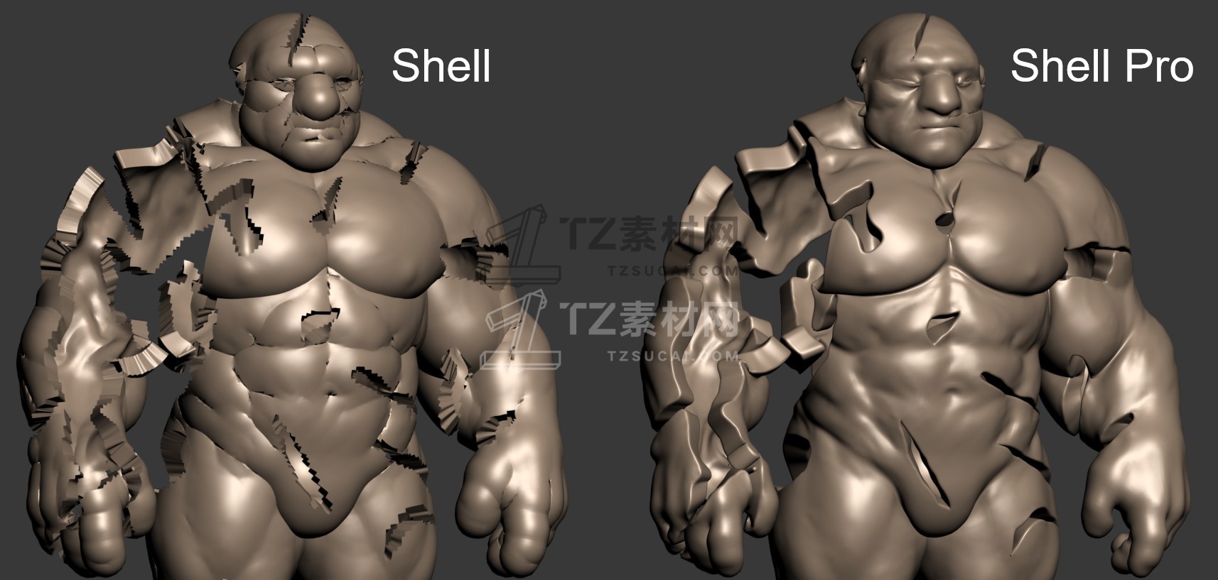 shell-pro-01.jpg