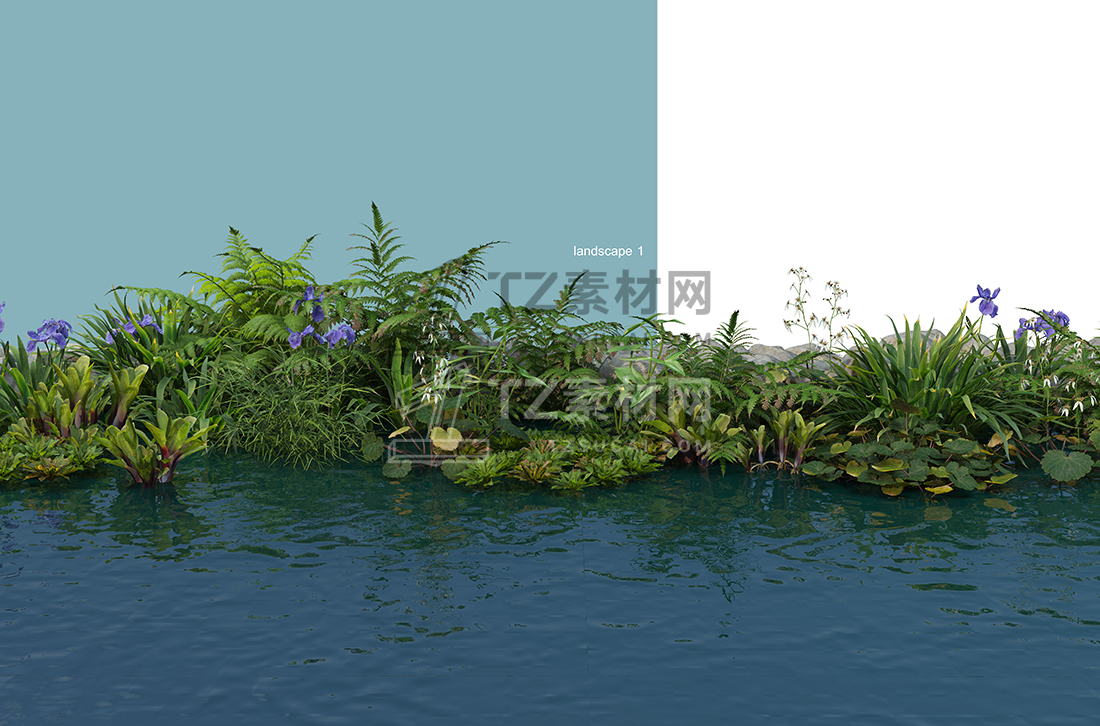 WaterfrontPlants-(4).jpg