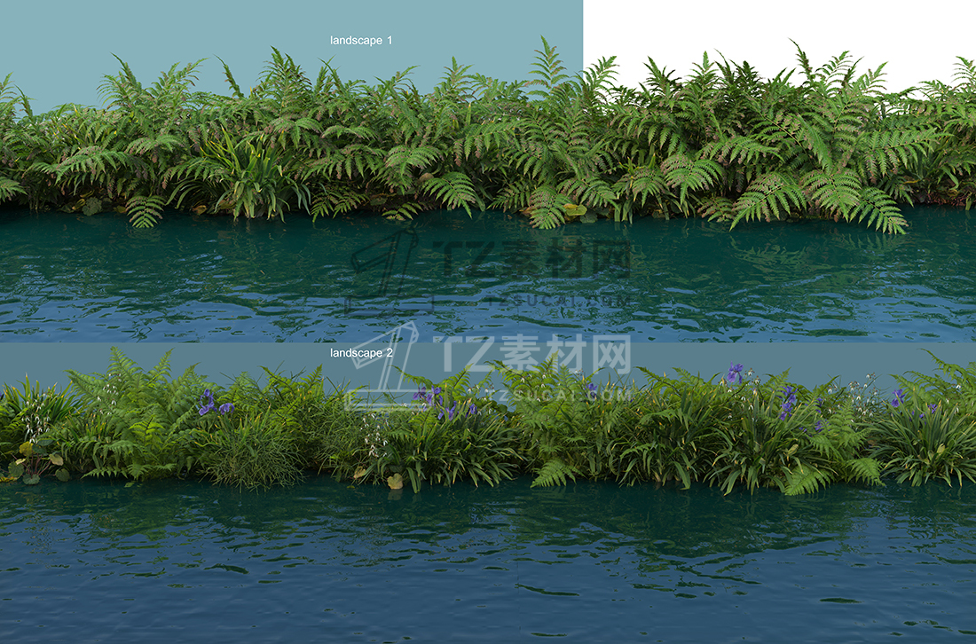 WaterfrontPlants-(3).jpg