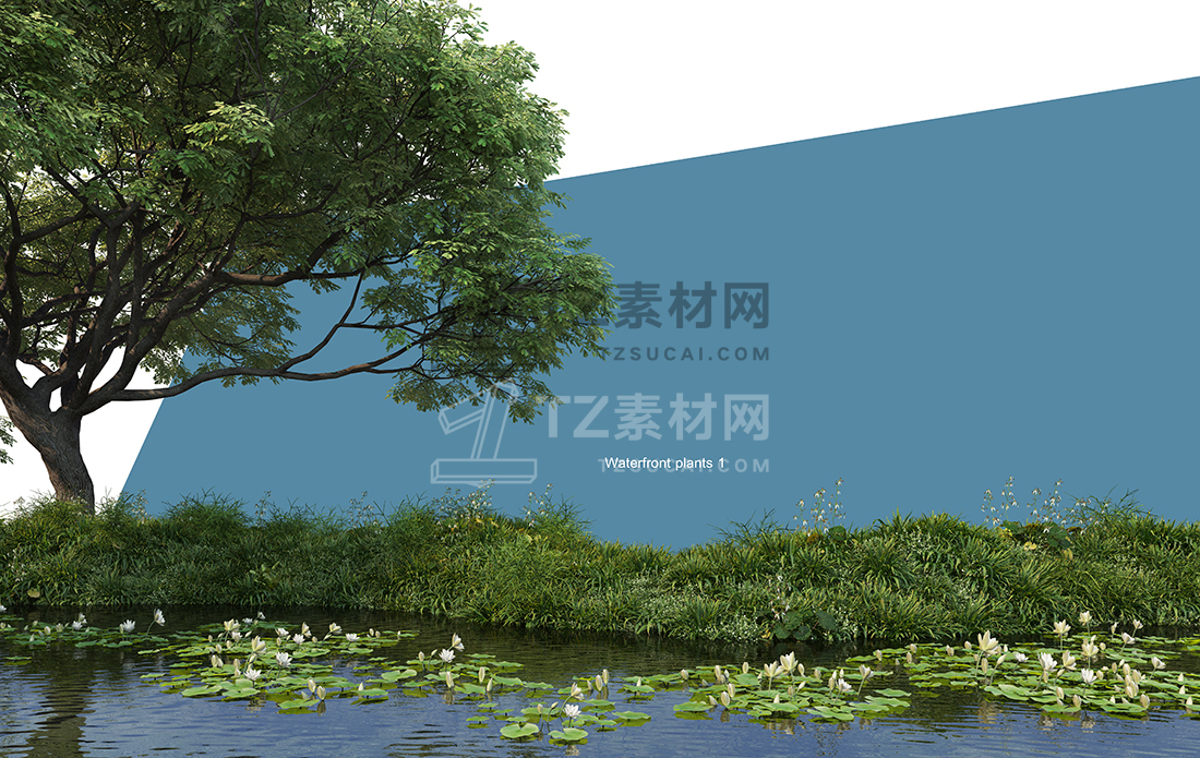 WaterfrontPlants-(17).jpg
