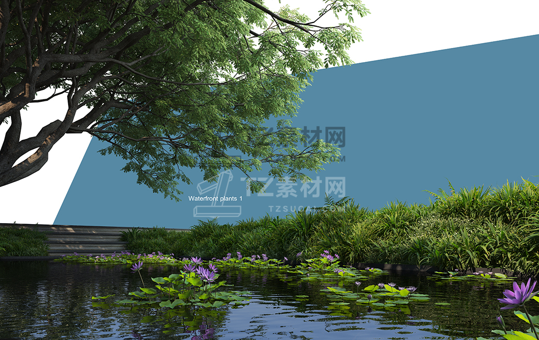 WaterfrontPlants-(12).jpg