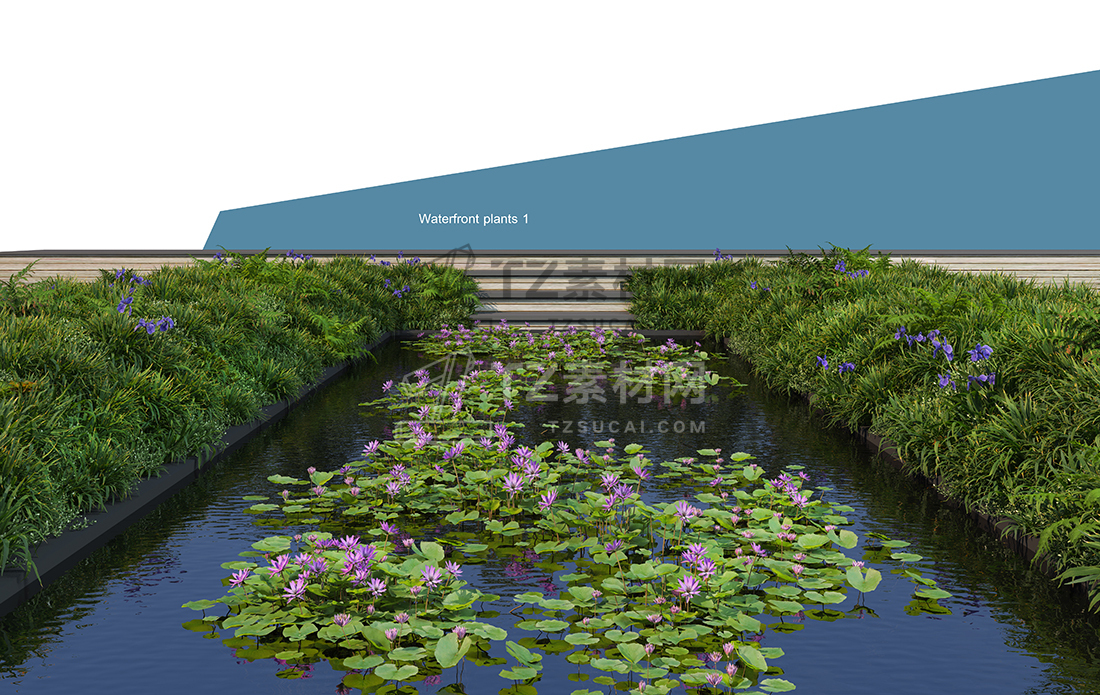 WaterfrontPlants-(7).jpg