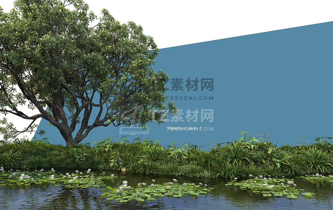 WaterfrontPlants-(16).jpg