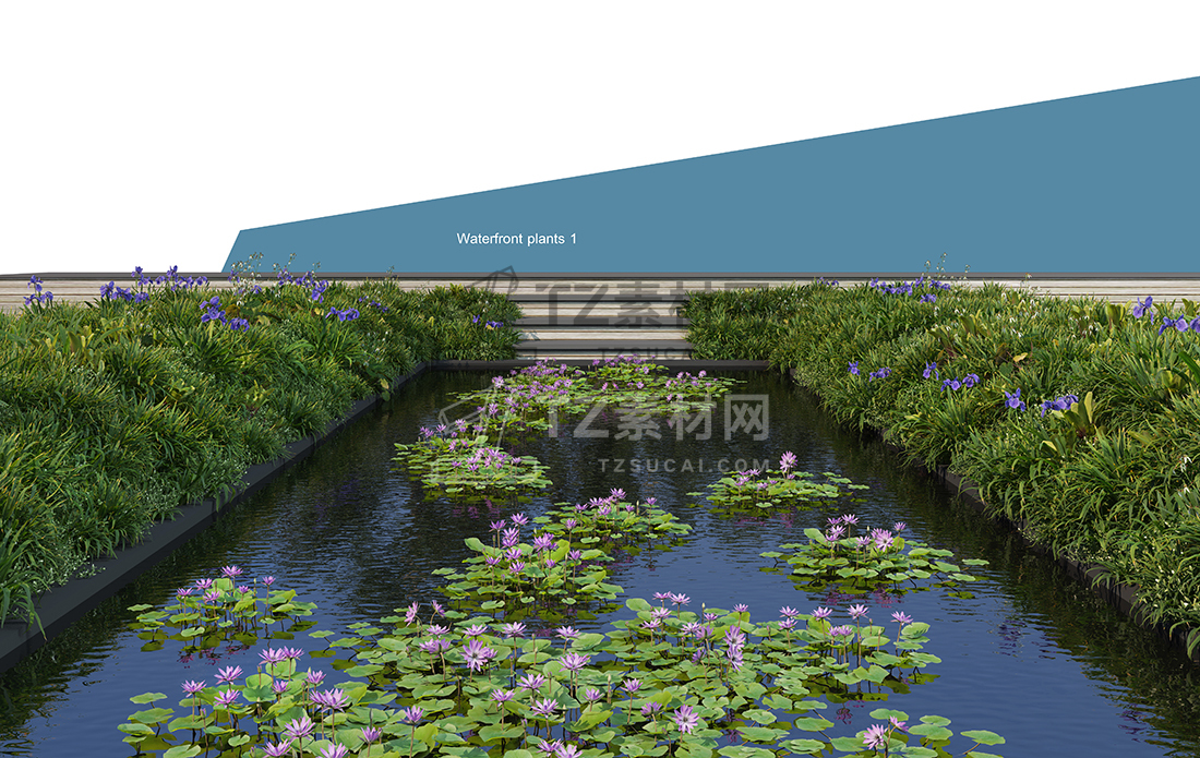 WaterfrontPlants-(8).jpg