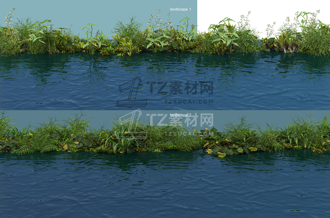 WaterfrontPlants-(1).jpg
