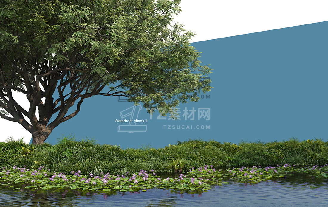 WaterfrontPlants-(14).jpg