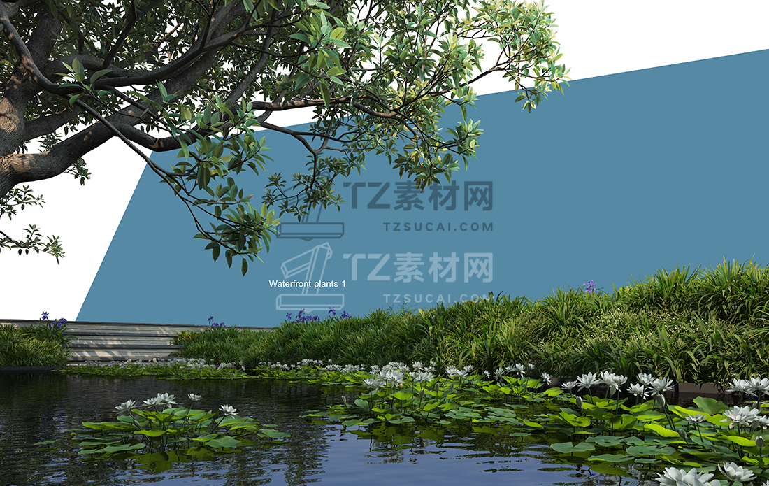 WaterfrontPlants-(10).jpg