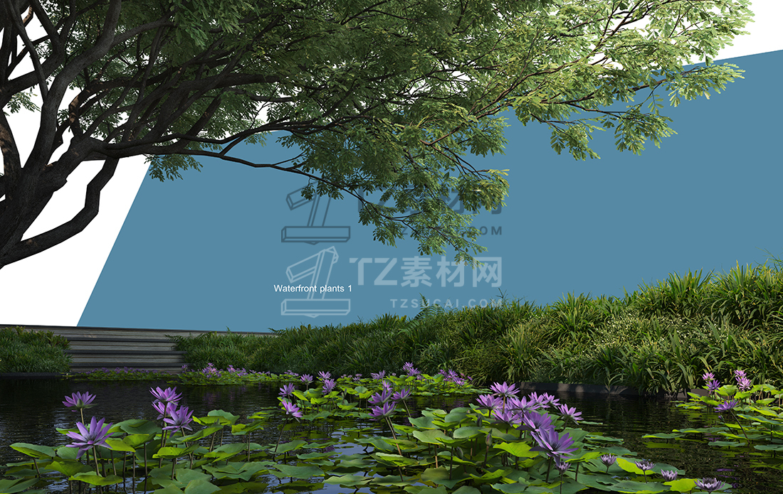 WaterfrontPlants-(13).jpg