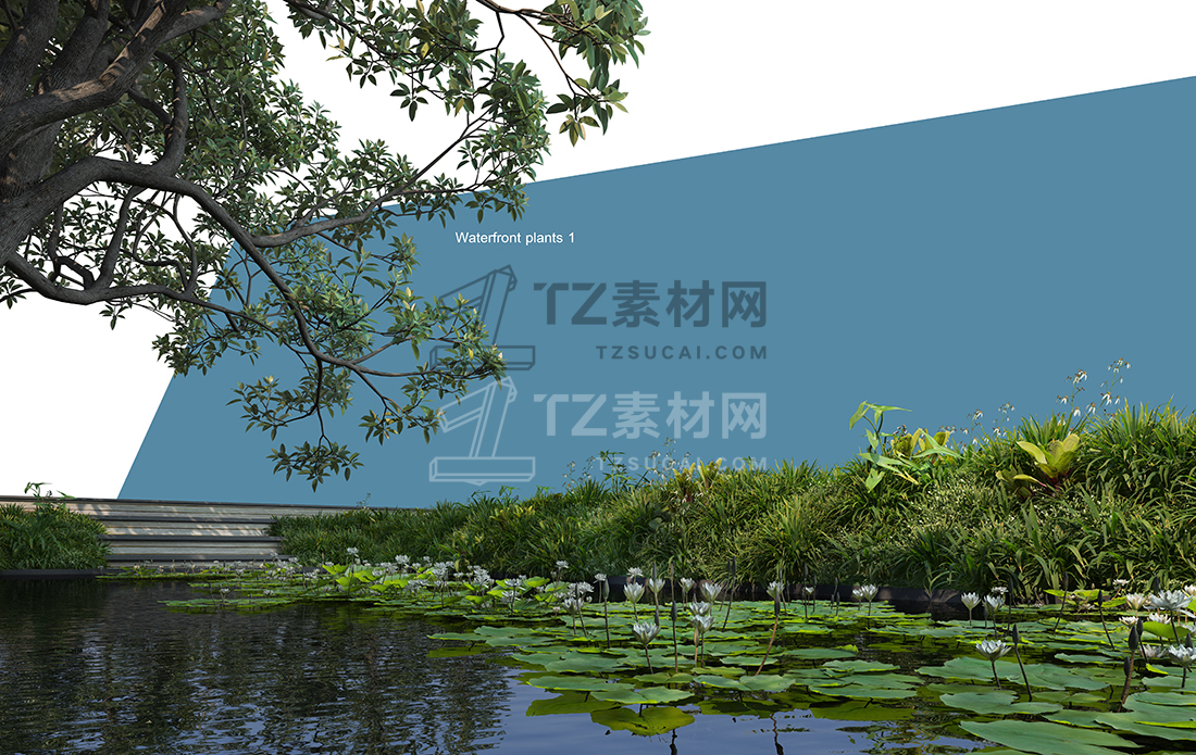 WaterfrontPlants-(9).jpg