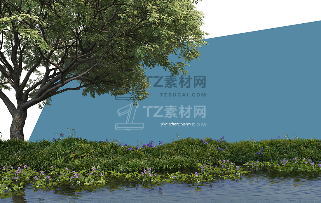 WaterfrontPlants-(18).jpg