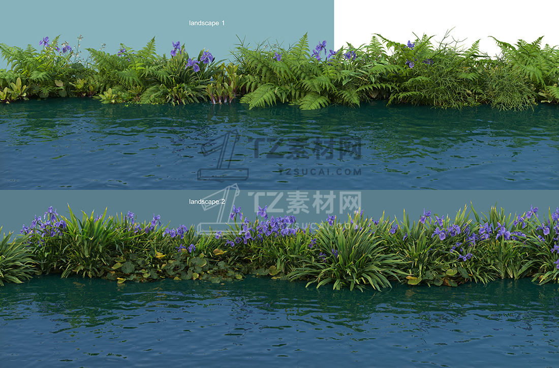 WaterfrontPlants-(2).jpg