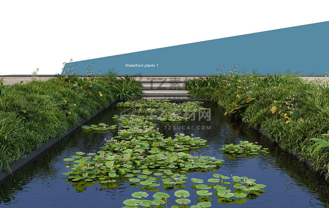 WaterfrontPlants-(6).jpg