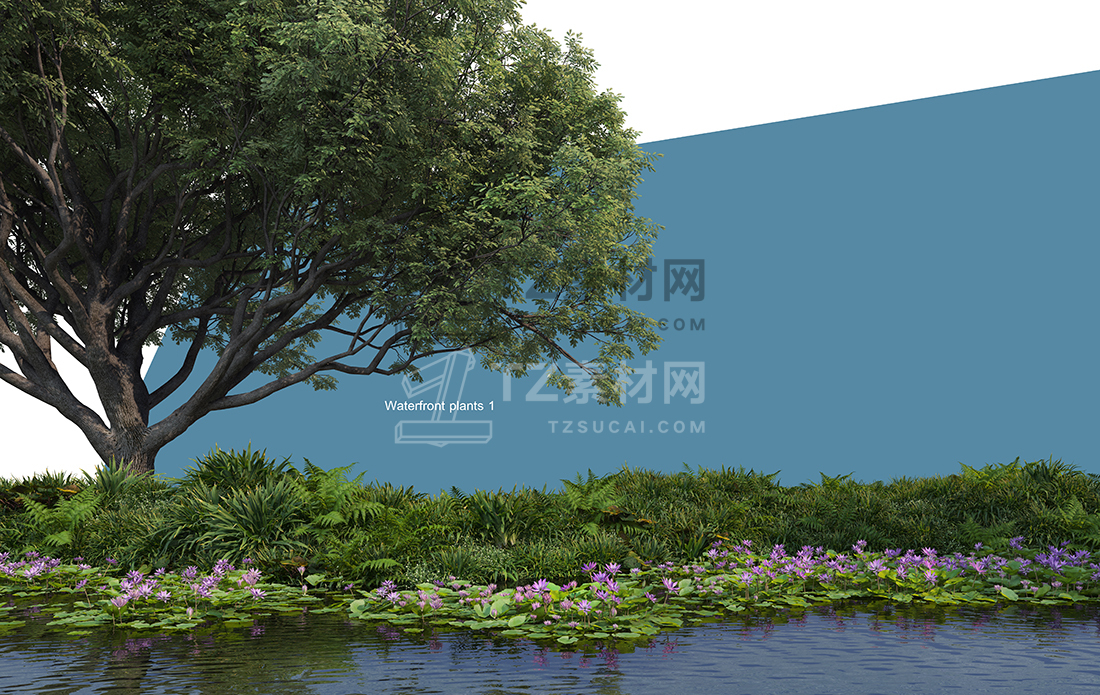 WaterfrontPlants-(15).jpg
