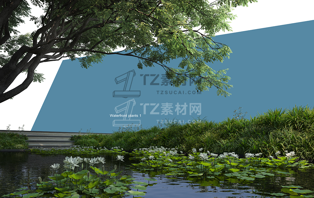 WaterfrontPlants-(11).jpg