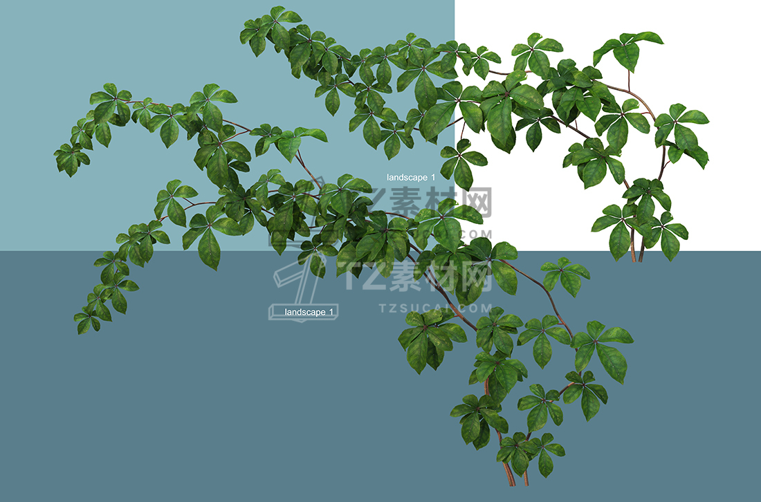 WaterfrontPlants-(5).jpg