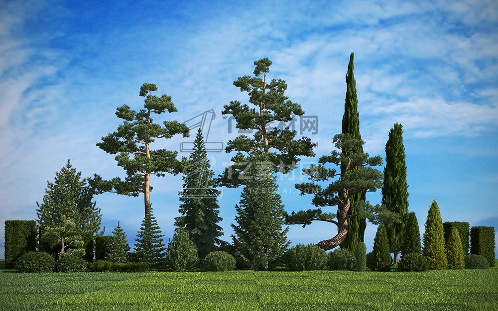 hq_plants_2.1.jpg_maps