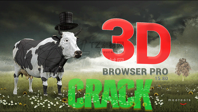crack.jpg