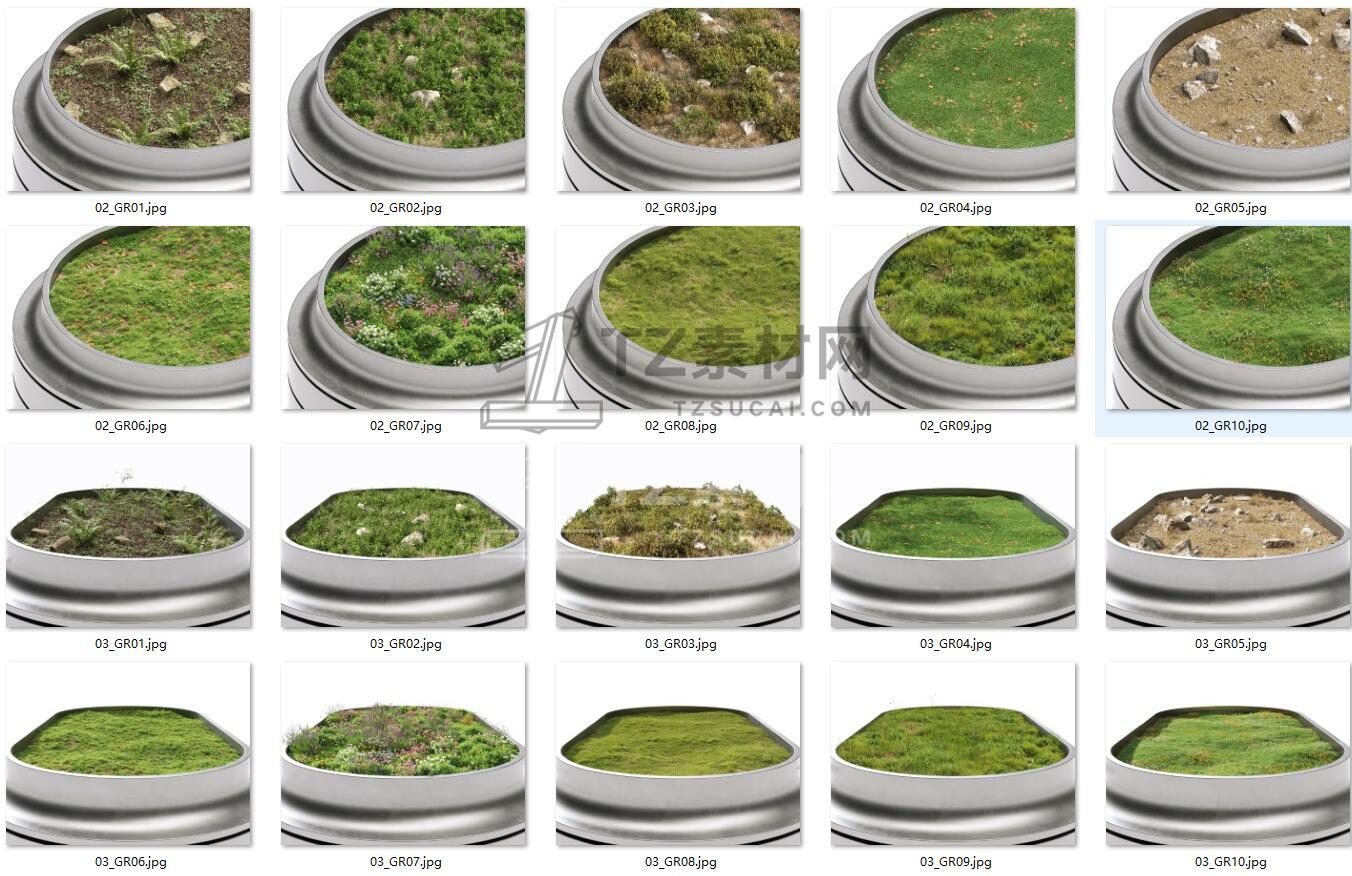 NM-Lab System 逼真地面植物.jpg