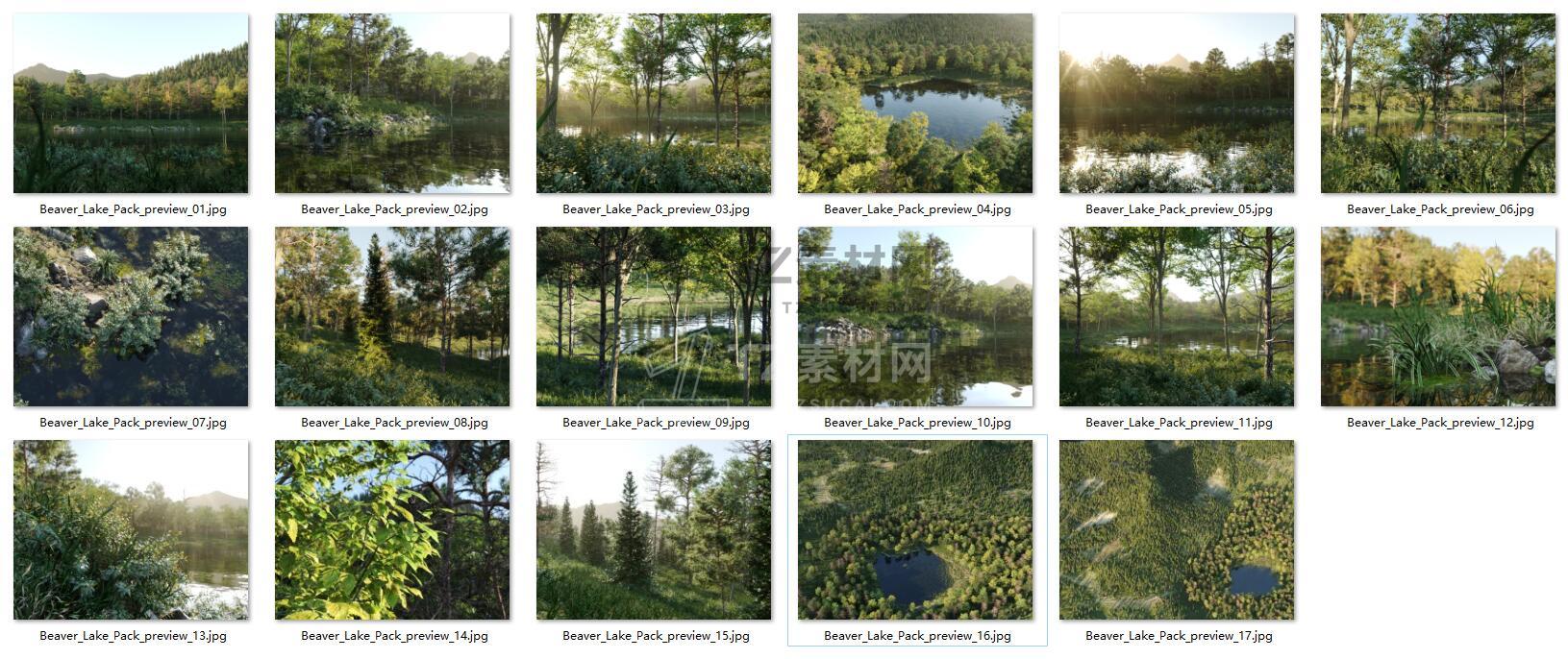 Beaver Lake 森林小湖.jpg