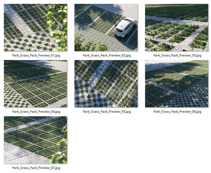 Parking Grass 草坪砖.jpg