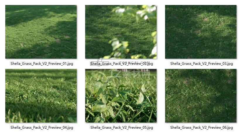 Shella Grass_V2 草地.jpg
