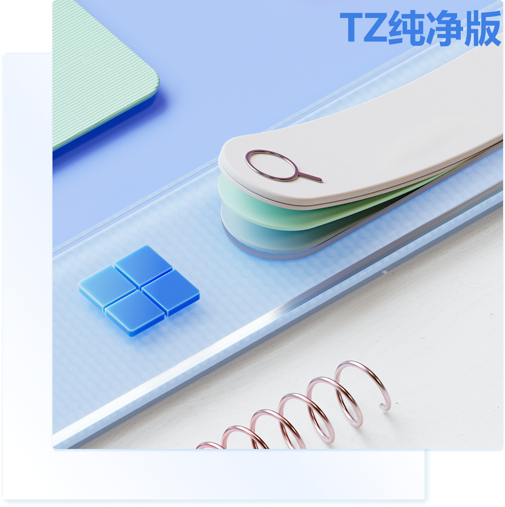 2024版 · Win11 · TZ纯净版