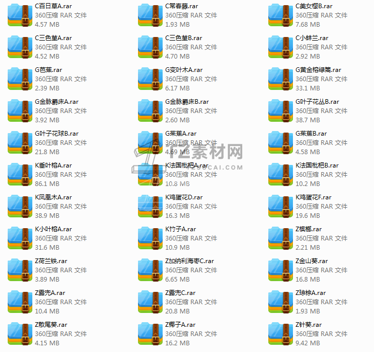 z5.png