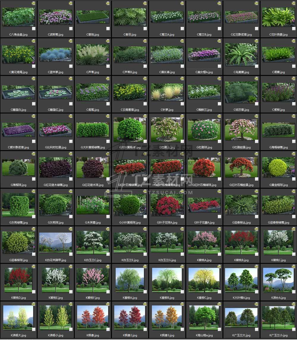z1.jpg