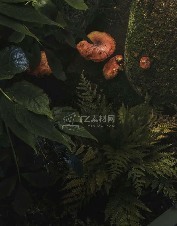 工匠春季训练营办公室-4.jpg