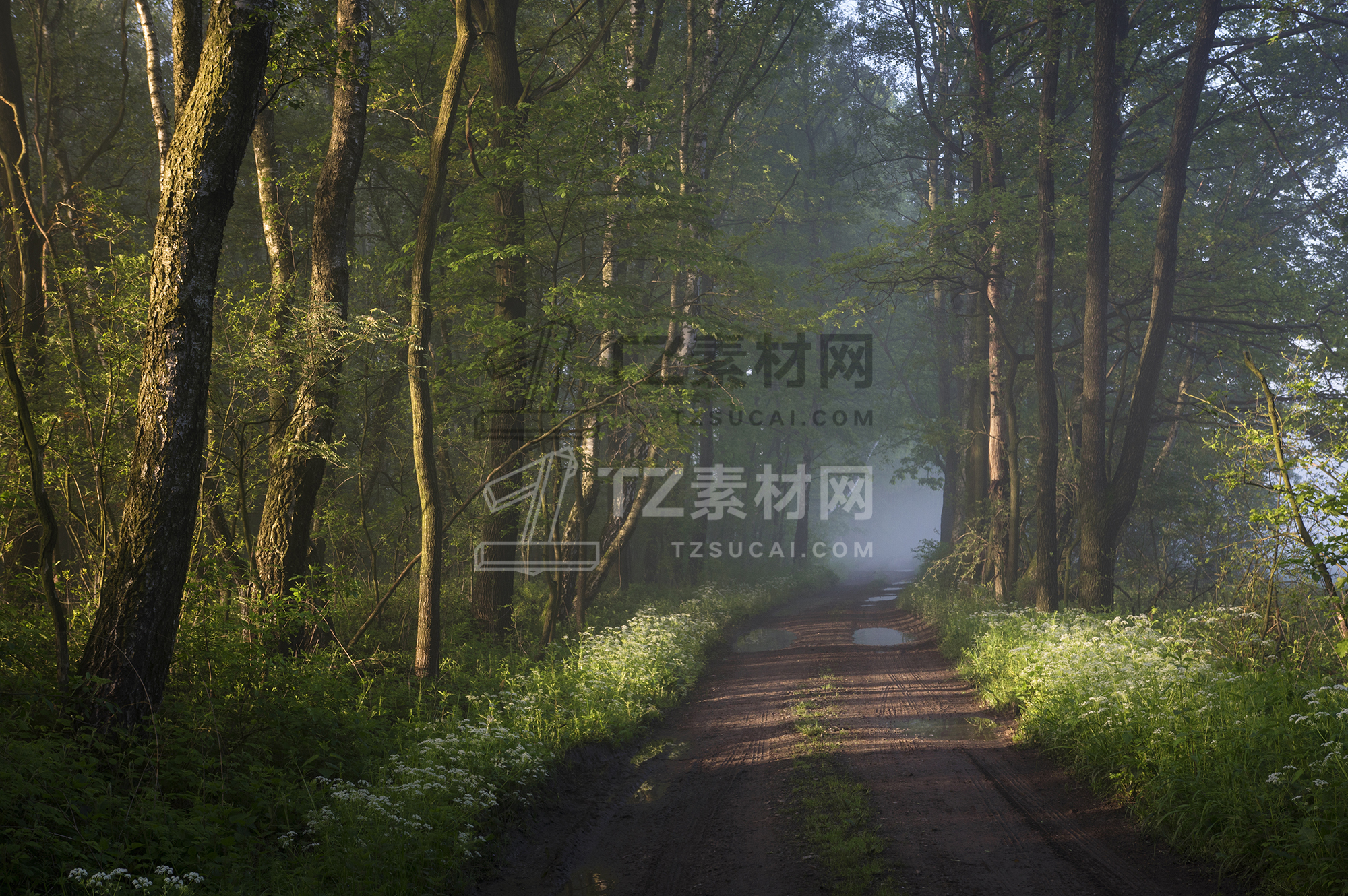 高清森林外景贴图-010.jpg