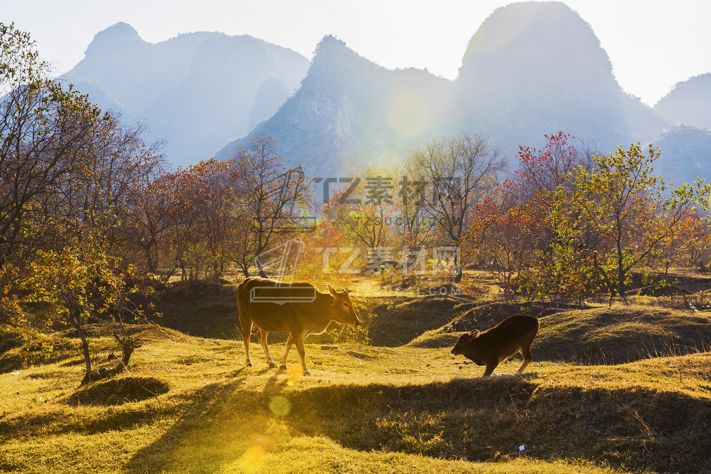 高清山水贴图-012.jpg