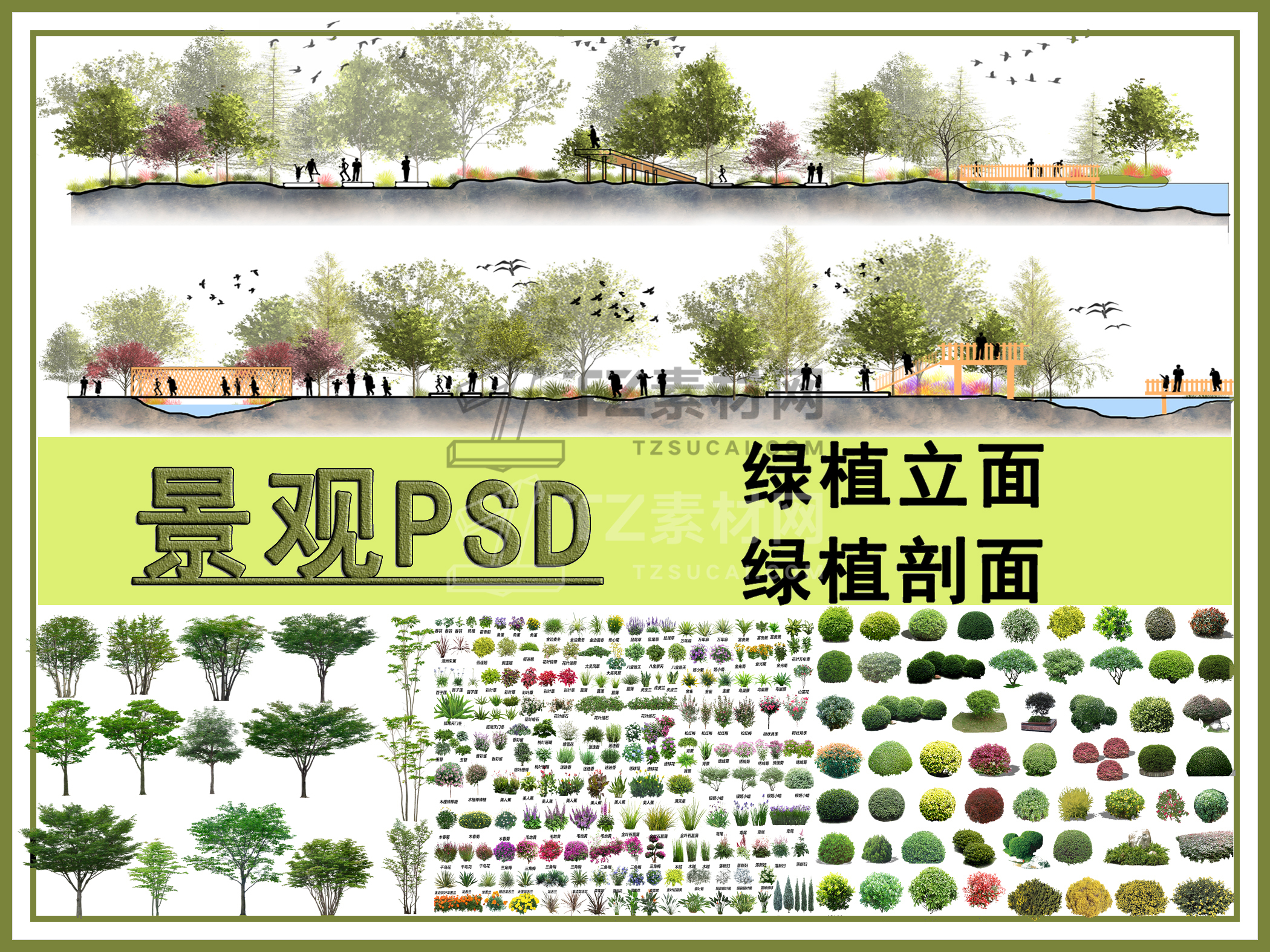 怎么找绿植素材网站_绿植素材图片大全