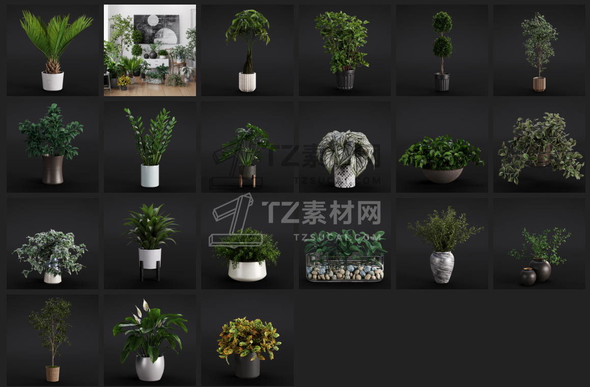 QQ20241117-224232.png